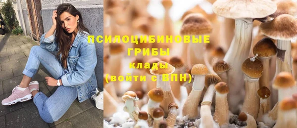 стафф Снежинск